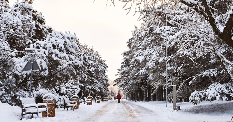 Où partir en voyage solo en hiver au soleil : 12 destinations