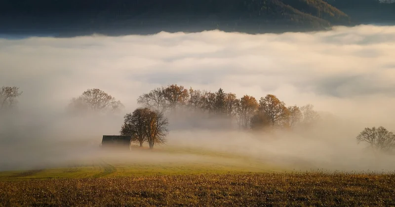 Où trouver une cabane perchée autour de vous, sans passer trois heures sur les plateformes