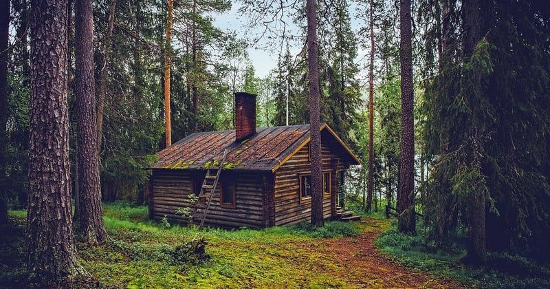 Week-end insolite en cabane dans les arbres en famille
