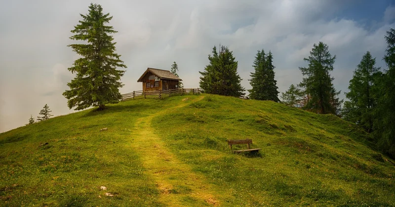 Le vrai budget d'une nuit en cabane perchée