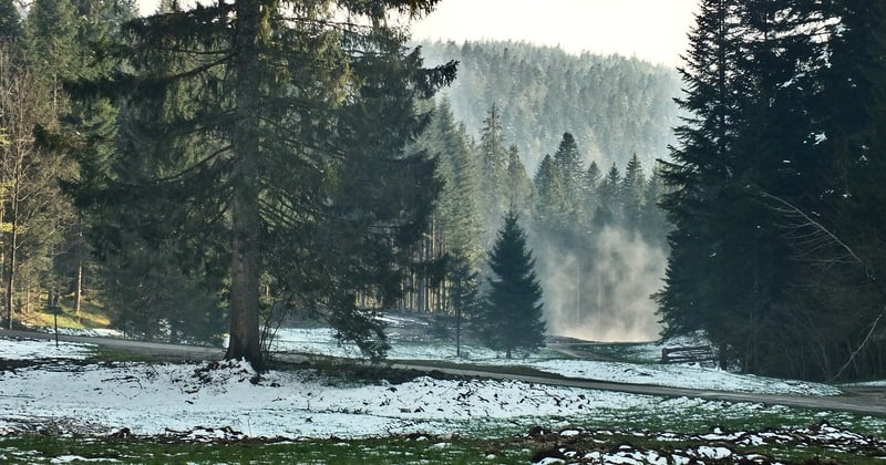 Randonnée facile en famille dans le Jura : 7 balades à faire avec les enfants